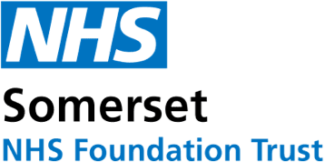 Somerset Integrated Care System